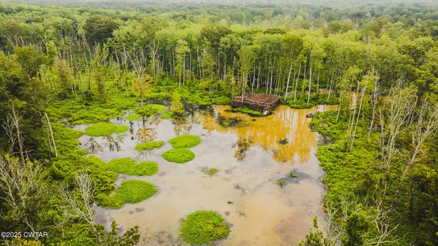 0 Eaton Brazil Road, Trenton, TN 38382 - Image #2