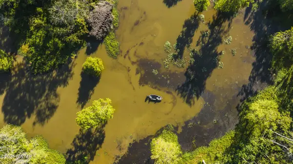 0 Brazil Eaton Road, Trenton, TN 38382