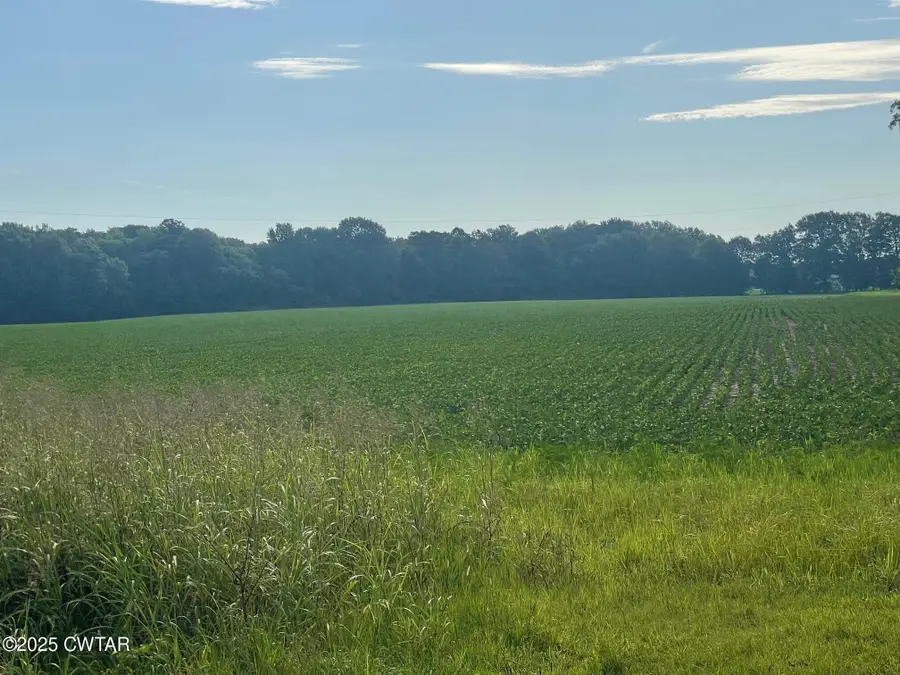 79 Highway 70 And Shepp Rd., Brownsville, TN 38012 - Image #3