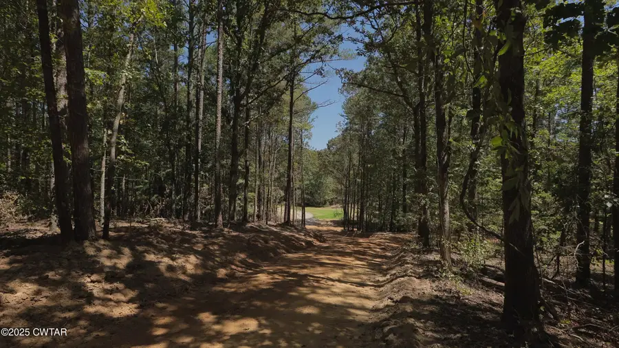 2114 Eldie Foster Road, Pocahontas, TN 38061 - Image #3