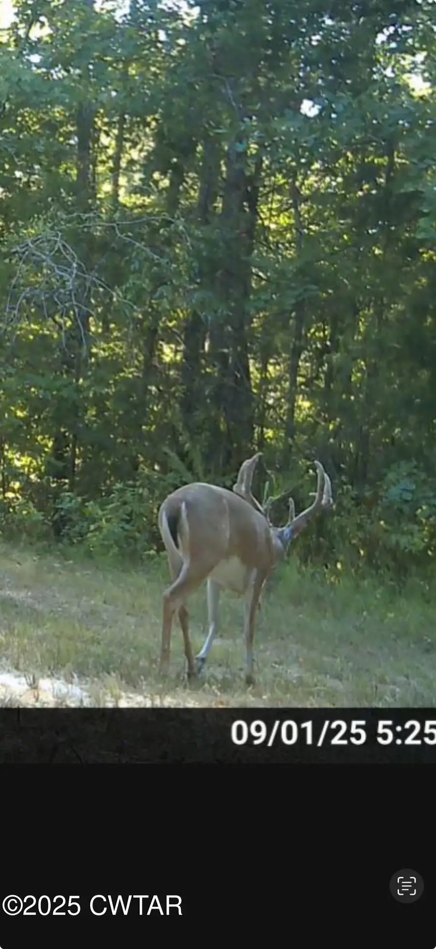 4260 Highfield Road, Cedar Grove, TN 38321 - Image #2