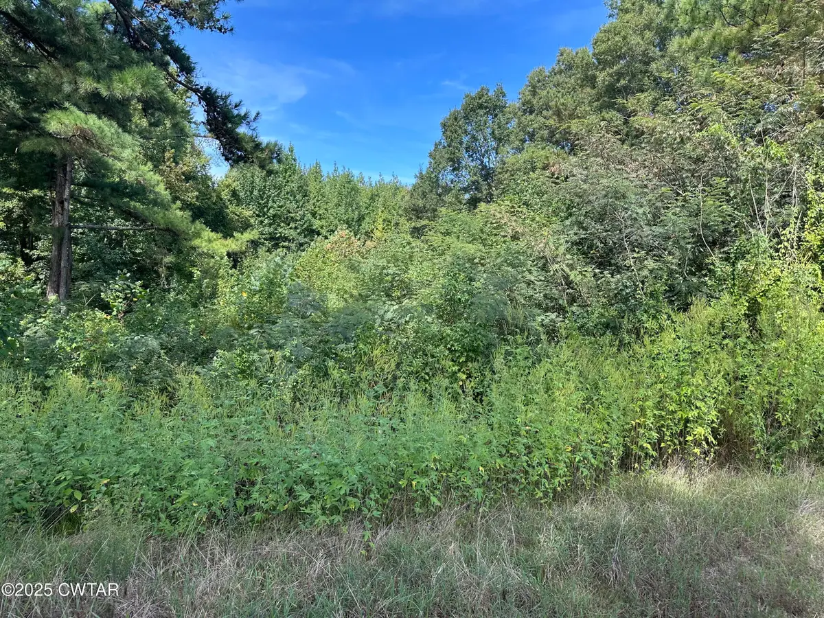 00 Post Road, Stanton, TN 38069 - Image #1