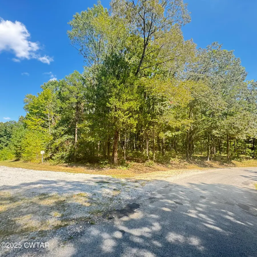 313 Logger Lane, Cedar Grove, TN 38321 - Image #2