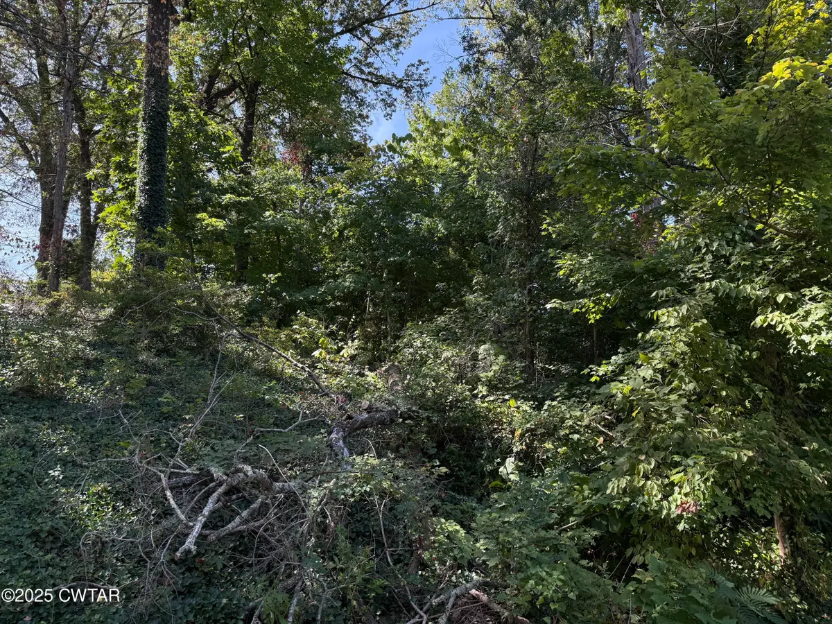 00 S Lattawood Drive, Dyersburg, TN 38024 - Image #1