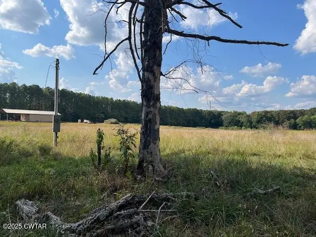 85 Burns Lane, Lavinia, TN 38348 - Image #2