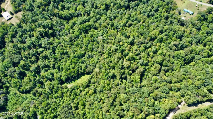 00 Cedar Hill Rd, Parsons, TN 38363 - Image #3