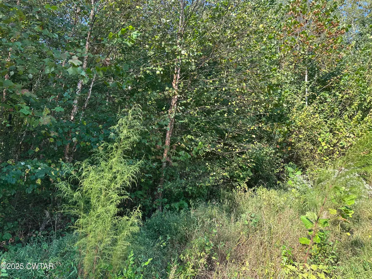 2800 Plainview Road, Henderson, TN 38340 - Image #1