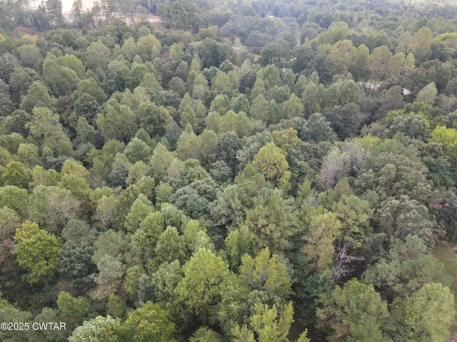 0 Mcearl Lane, Reagan, TN 38368 - Image #3