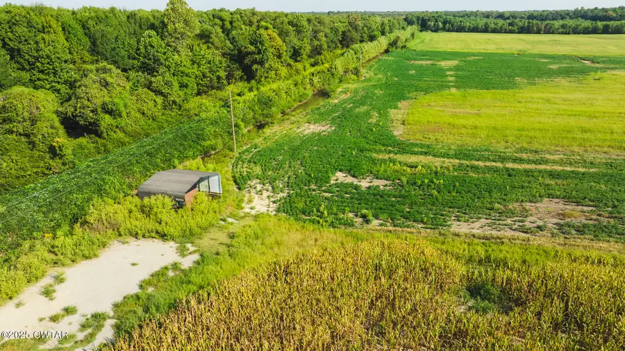 0 Burrell Lane Road, Friendship, TN 38034 - Image #3