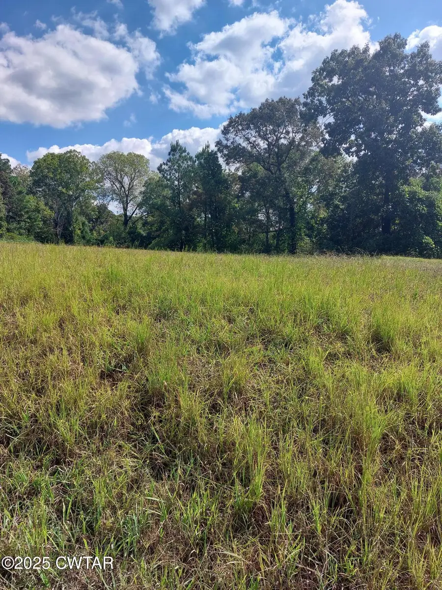 0 Steam Mill Ferry Road, Jackson, TN 38301 - Image #2