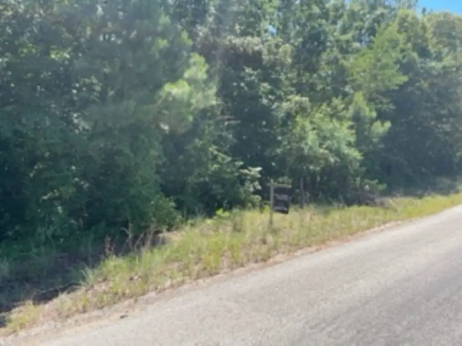 0 Mount Pinson Road, Jackson, TN 38301 - Image #3