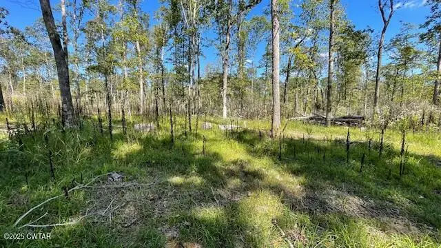 00 Harts Bridge Road And Lester Chapel Road, Jackson, TN 38301 - Image #2