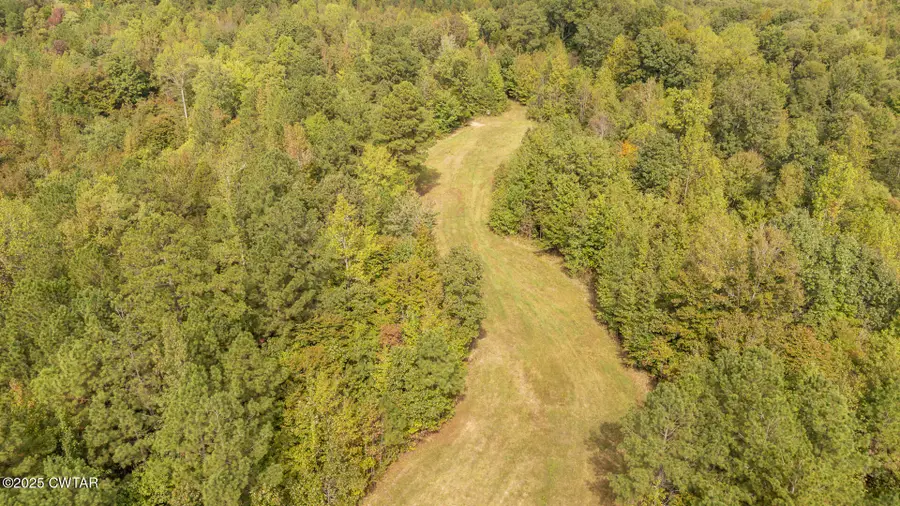 424 Firetower Road, Camden, TN 38320 - Image #3