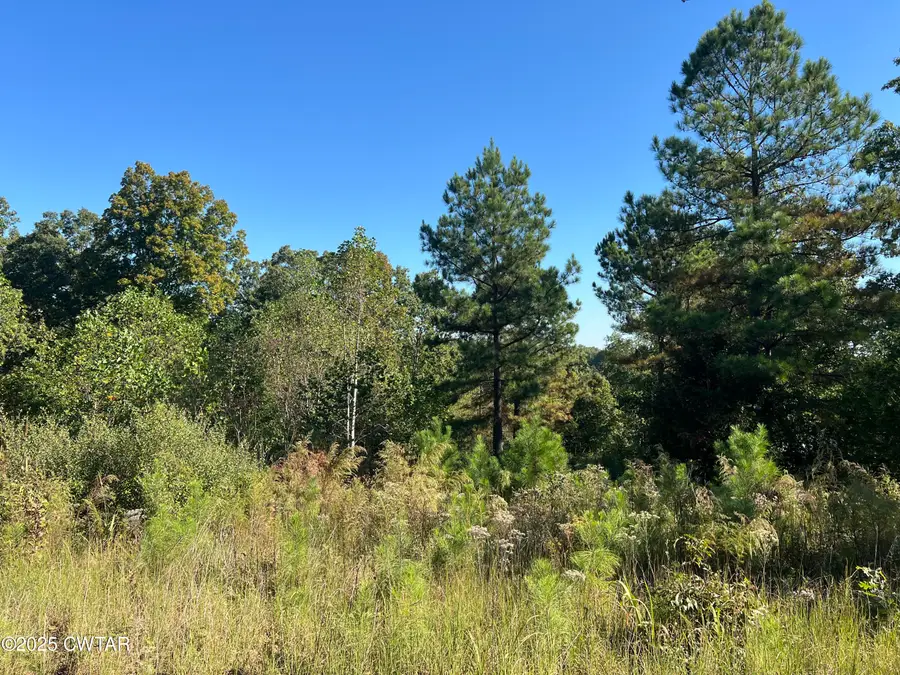 Lot 21 Peregrine Place, Cedar Grove, TN 38321 - Image #3
