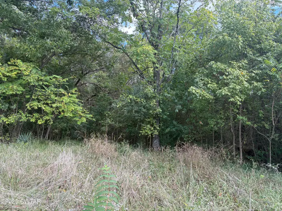 1783 N Royal Street, Jackson, TN 38305 - Image #3