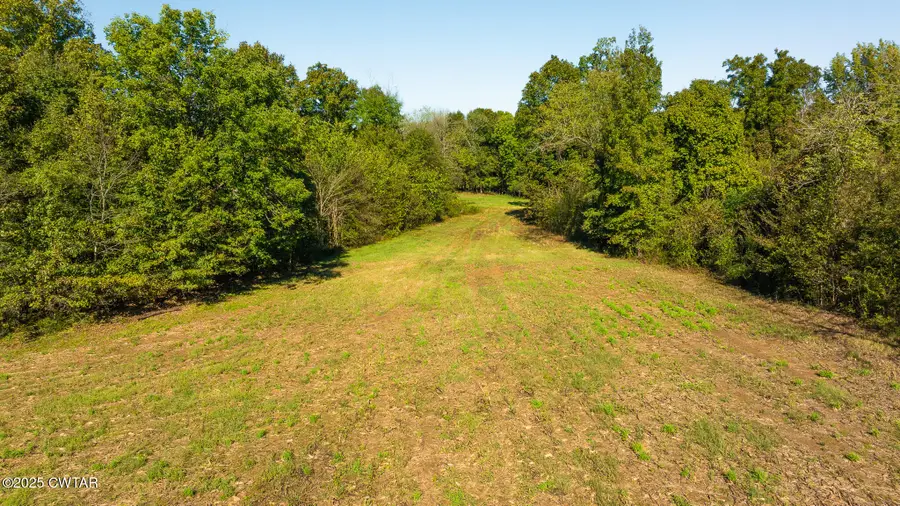 Tract 2 Hearn Road, Greenfield, TN 38230 - Image #3