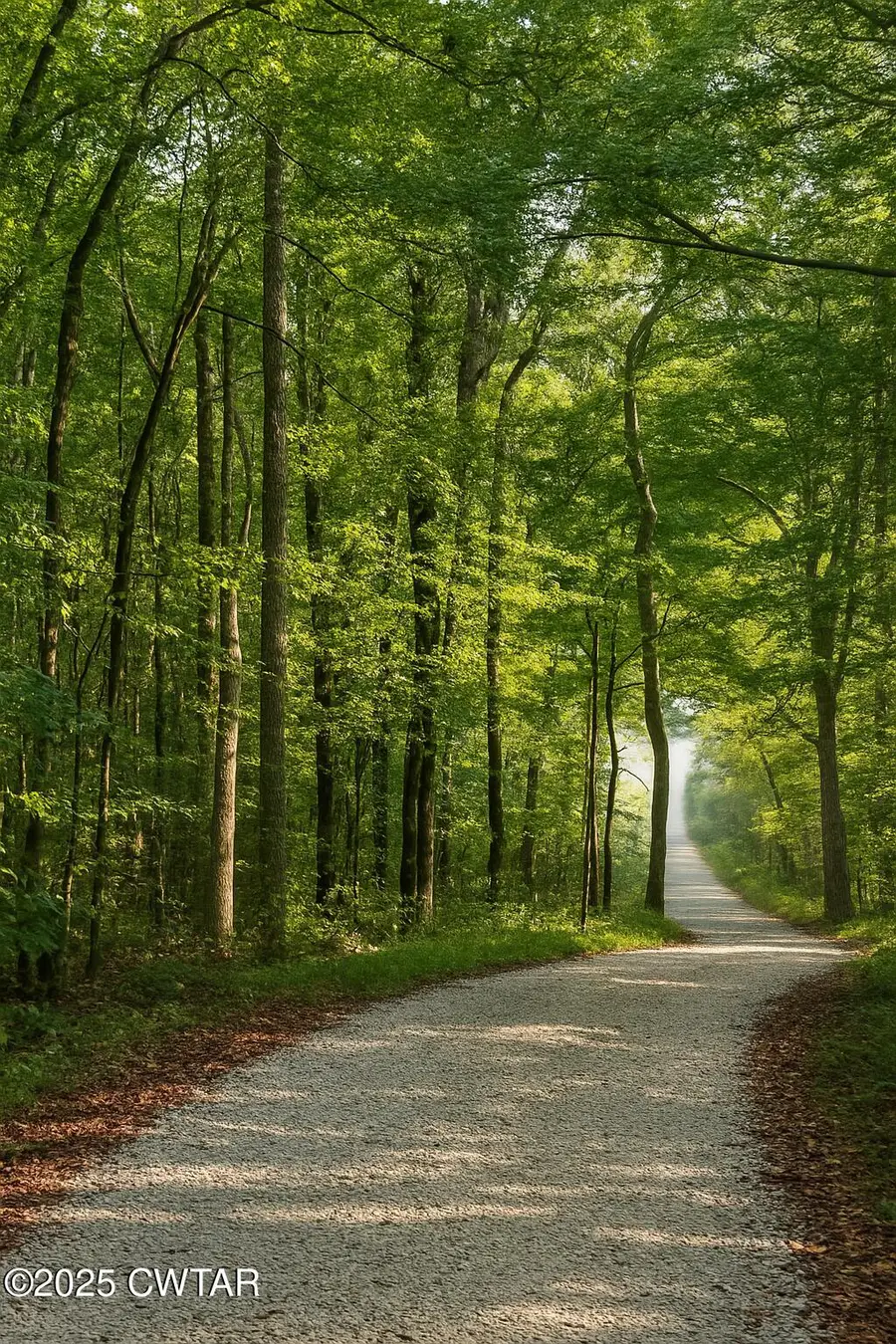 459 Liberty Road, Beech Bluff, TN 38313 - Image #3