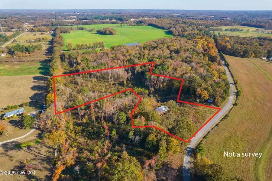 2438 Leo Woods Road, Cedar Grove, TN 38321 - Image #2