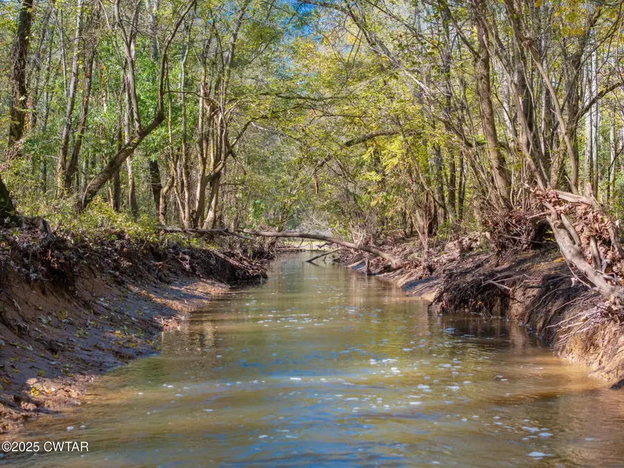 0 Dr Fisher Lane, Decaturville, TN 38329 - Image #3