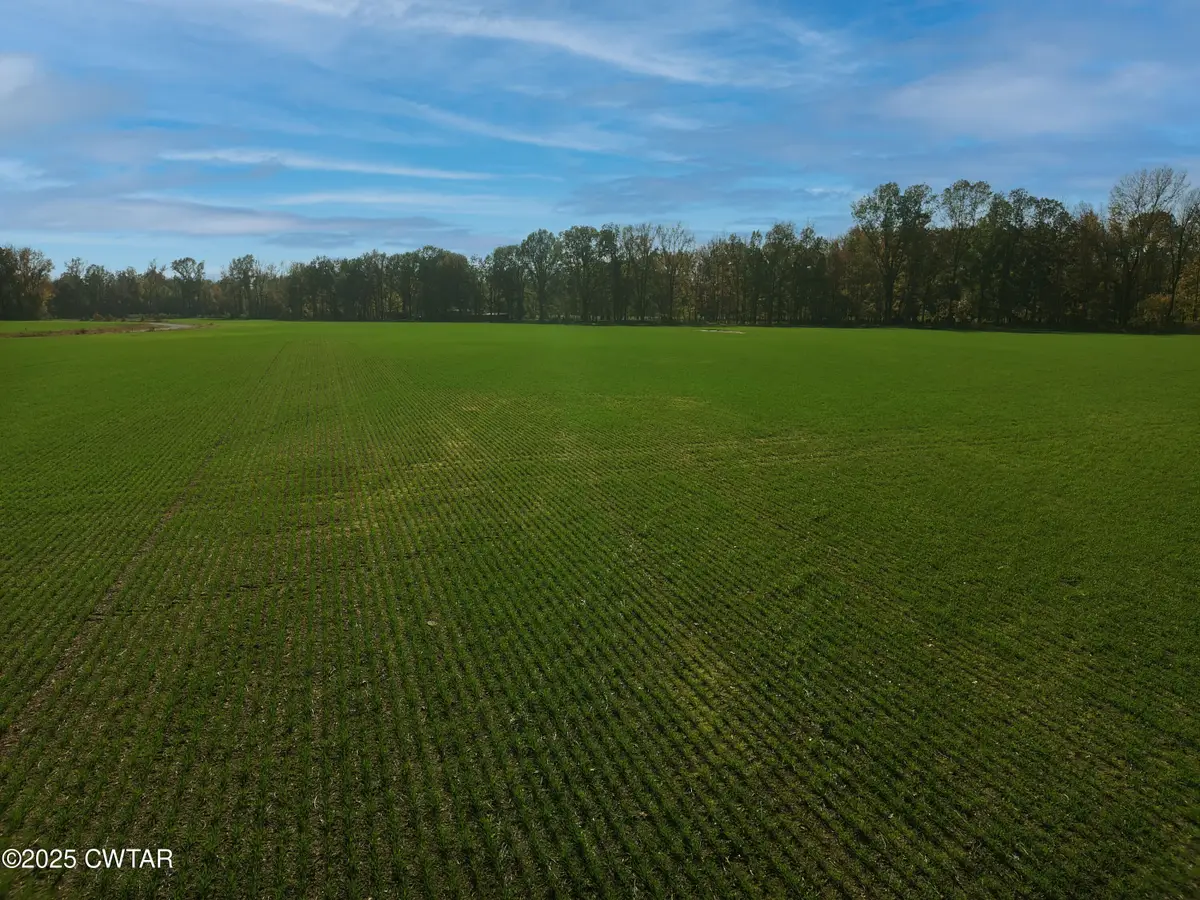 170 Hatchie-station Road, Mercer, TN 38392 - Image #1