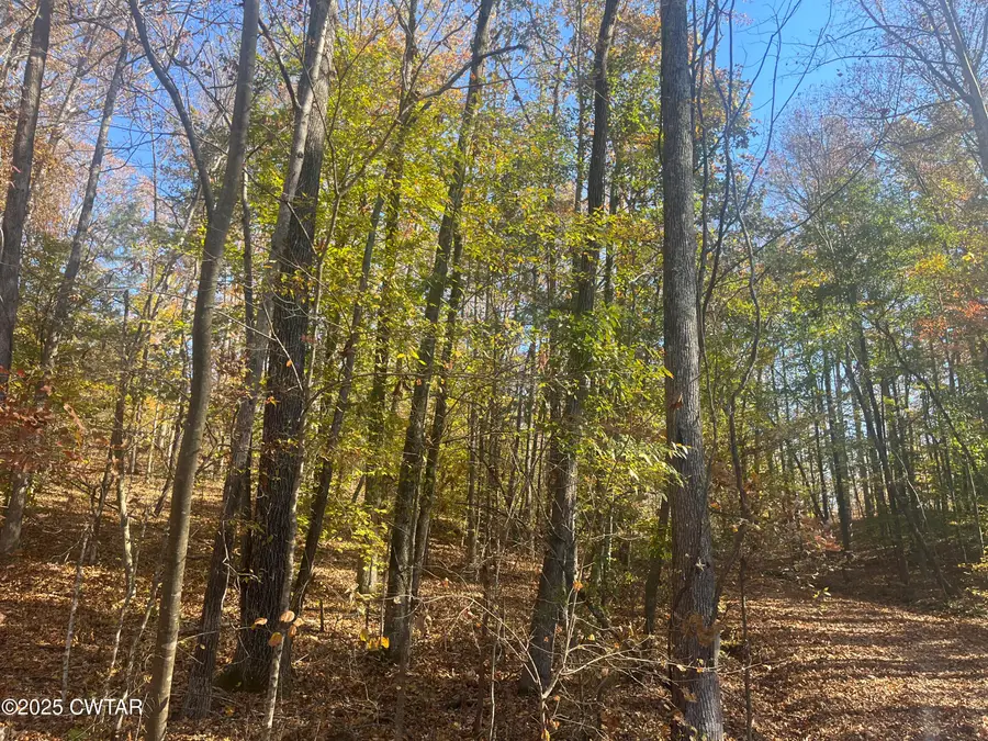 LOT102 Arrow Head Circle, Parsons, TN 38363 - Image #2