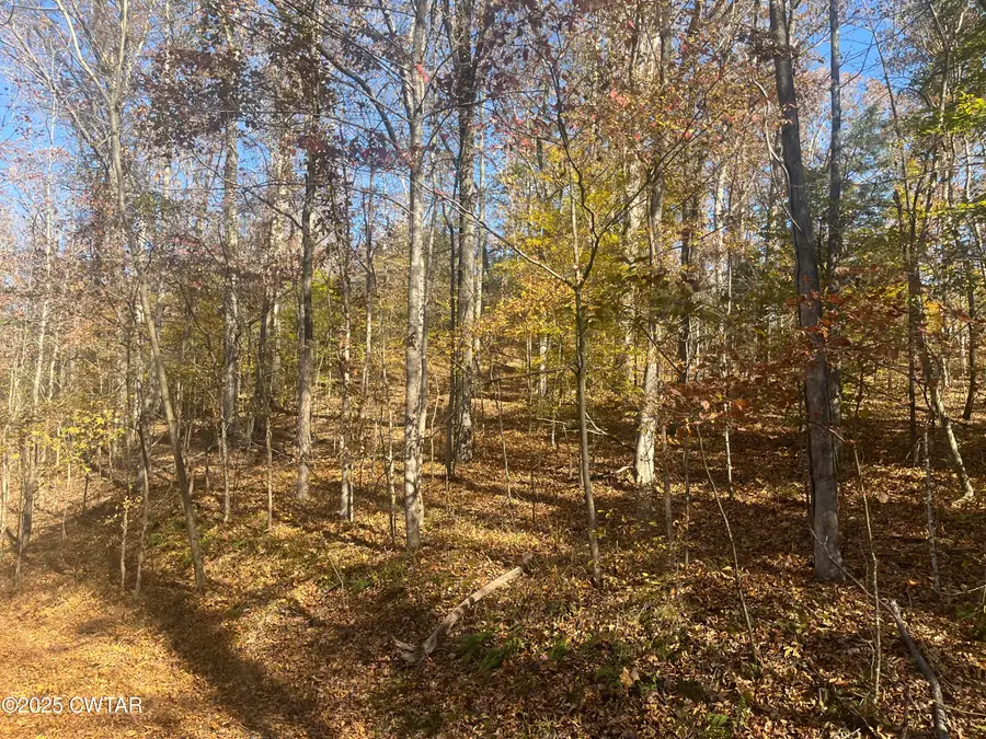 LOT102 Arrow Head Circle, Parsons, TN 38363 - Image #3