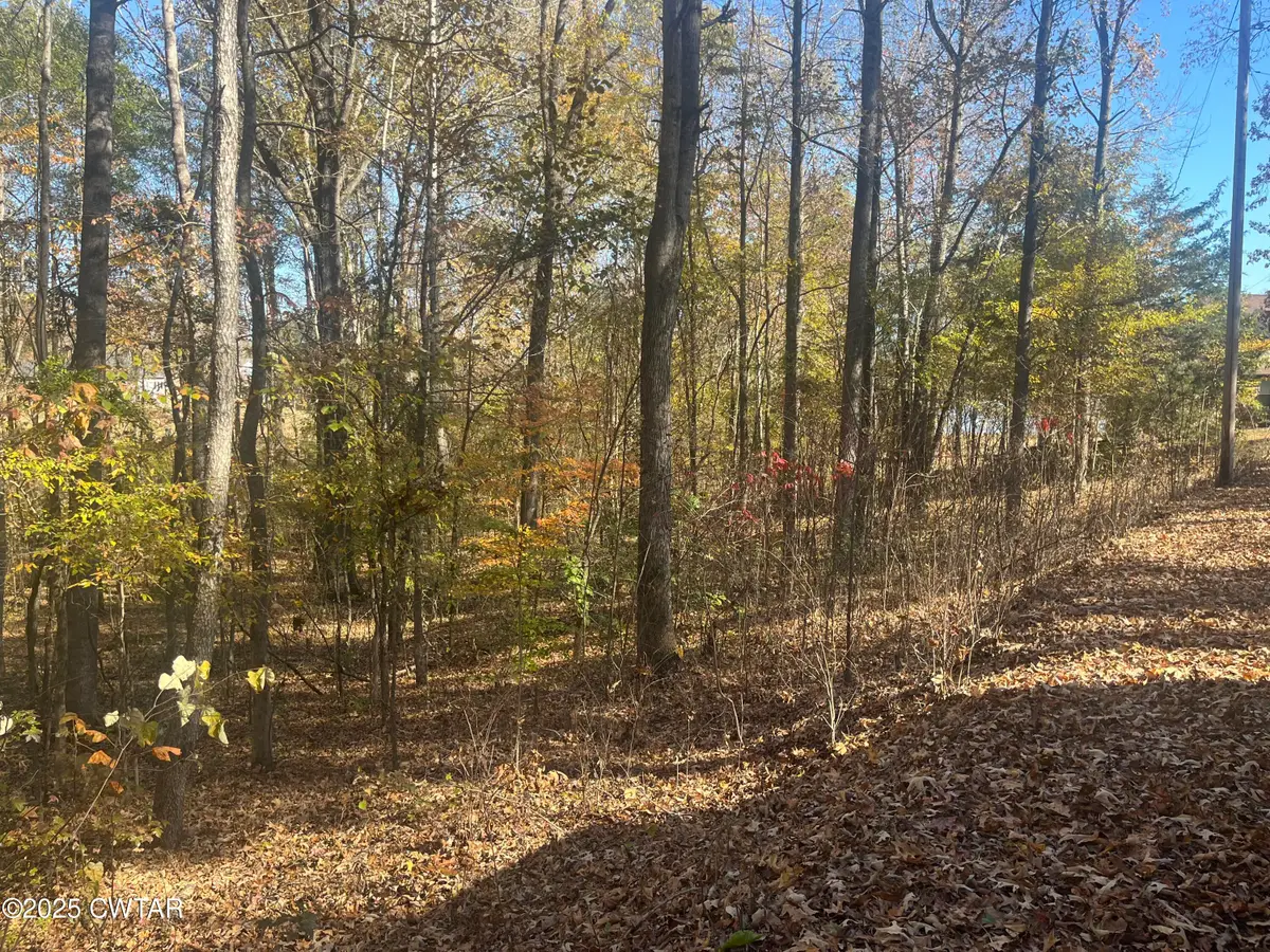 Lot 171 Indian Park Dr, Parsons, TN 38363 - Image #1