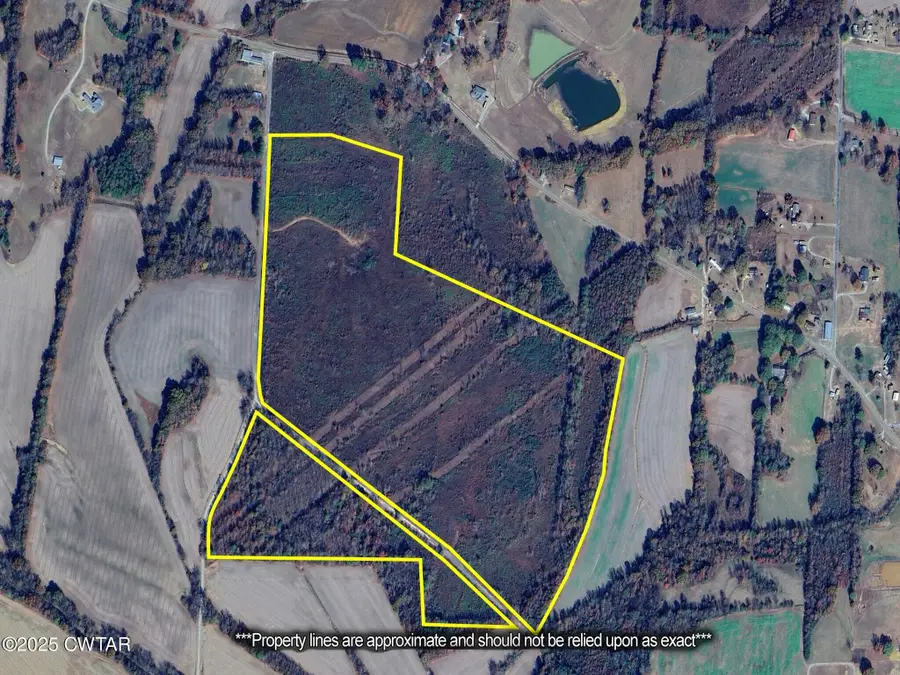 0 State Route 22a Road S, Enville, TN 38332 - Image #2