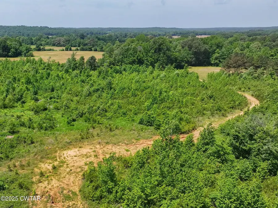 0 State Route 22a Road S, Enville, TN 38332 - Image #3