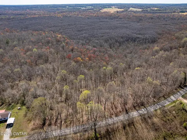 4489 Spring Creek Road, Lavinia, TN 38348