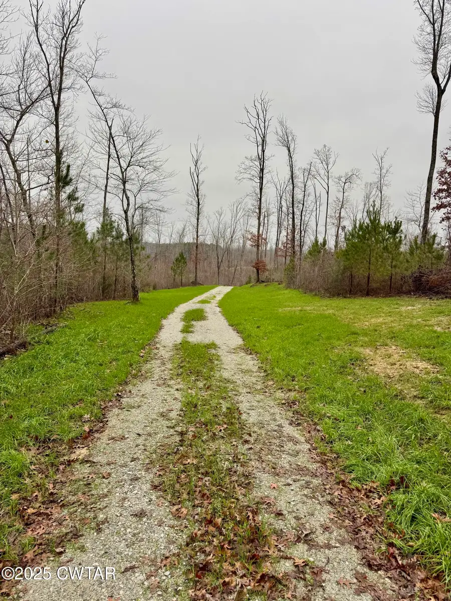 7900 Brooksie Thompson Road, Bath Springs, TN 38311 - Image #3