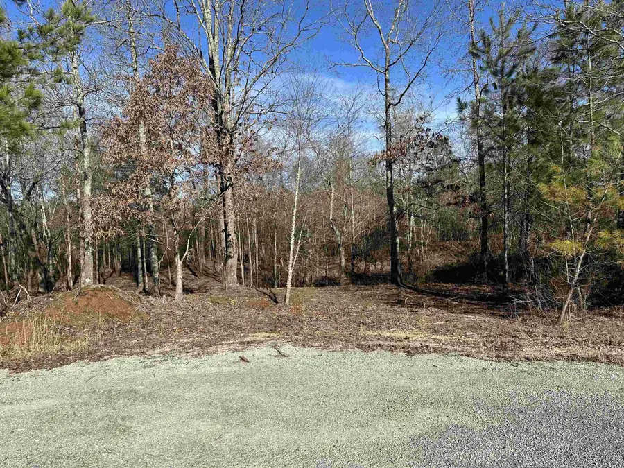 00 Chisum Lot 17 Lane, Beech Bluff, TN 38313 - Image #3