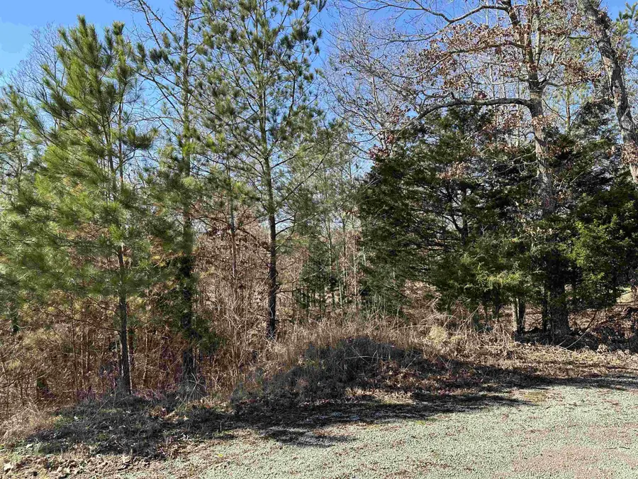 00 Chisum Lane Lot 19, Beech Bluff, TN 38313 - Image #2