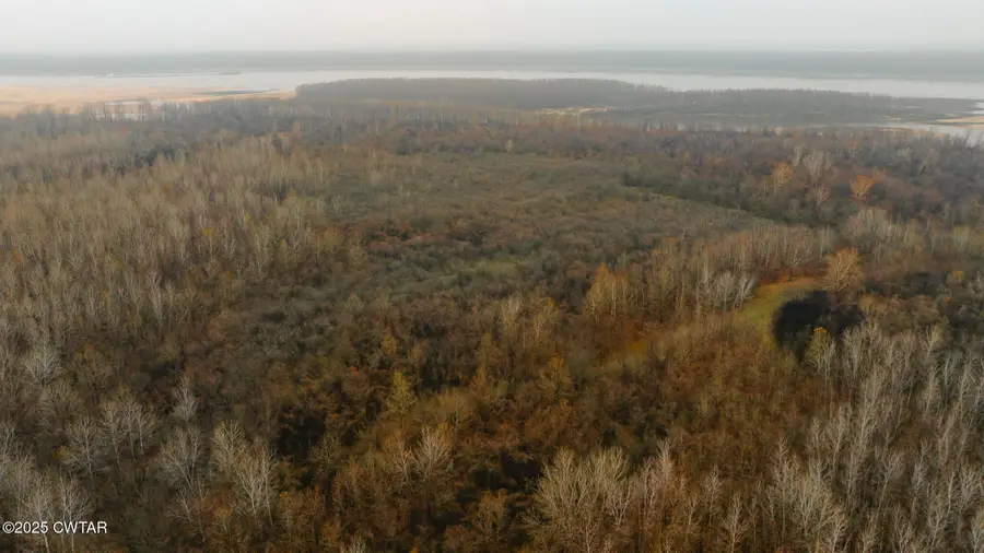 0 State Route 79, Ridgely, TN 38080 - Image #2