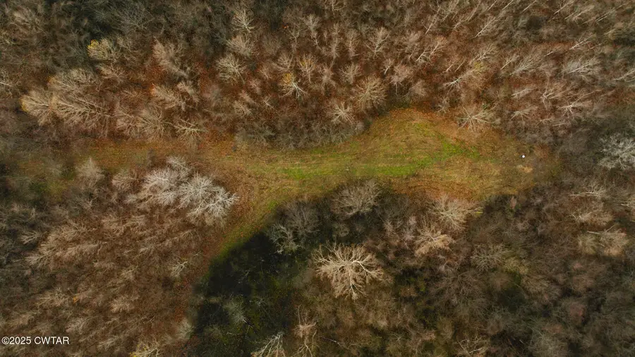 0 State Route 79, Ridgely, TN 38080 - Image #3