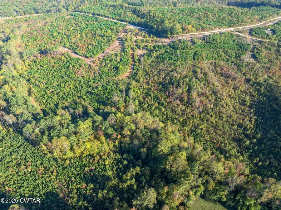 Tract 5 Tucker Road, Bath Springs, TN 38311 - Image #3