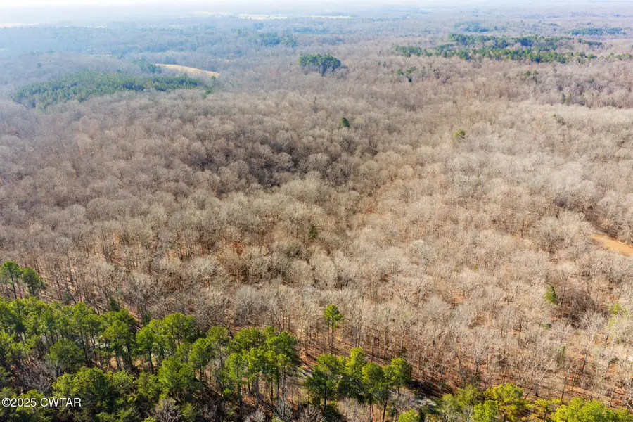 000 Jeanette Holladay Road, Parsons, TN 38363 - Image #2