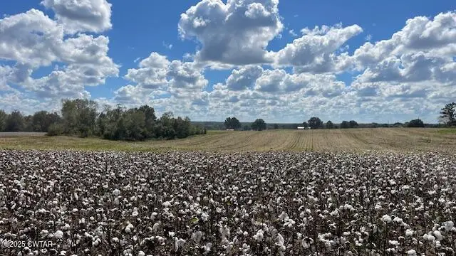 00 Christmasville Road, Medina, TN 38355 - Image #1