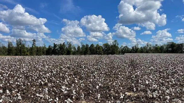 00 Christmasville Road, Medina, TN 38355 - Image #2