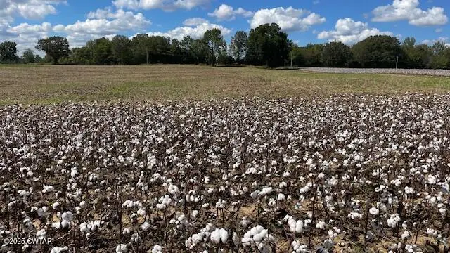 00 Christmasville Road, Medina, TN 38355 - Image #3