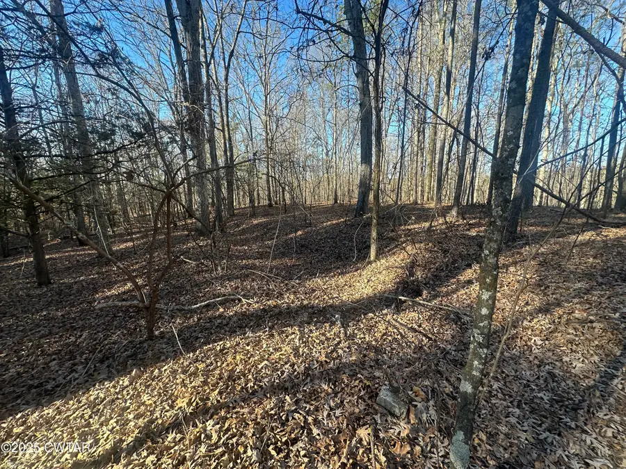 0 George West Road, Middleton, TN 38052 - Image #2