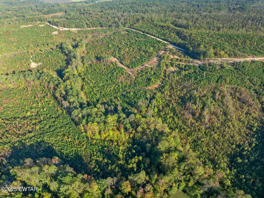 6 Tract Tucker Rd, Bath Springs, TN 38311 - #3