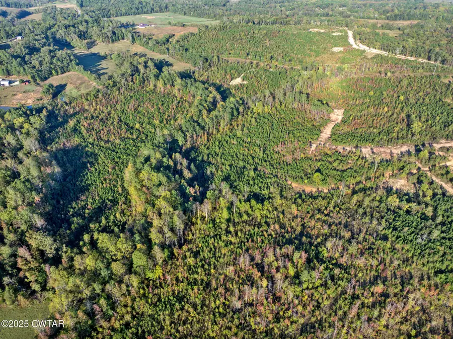 7 Tucker Road, Bath Springs, TN 38311 - #2