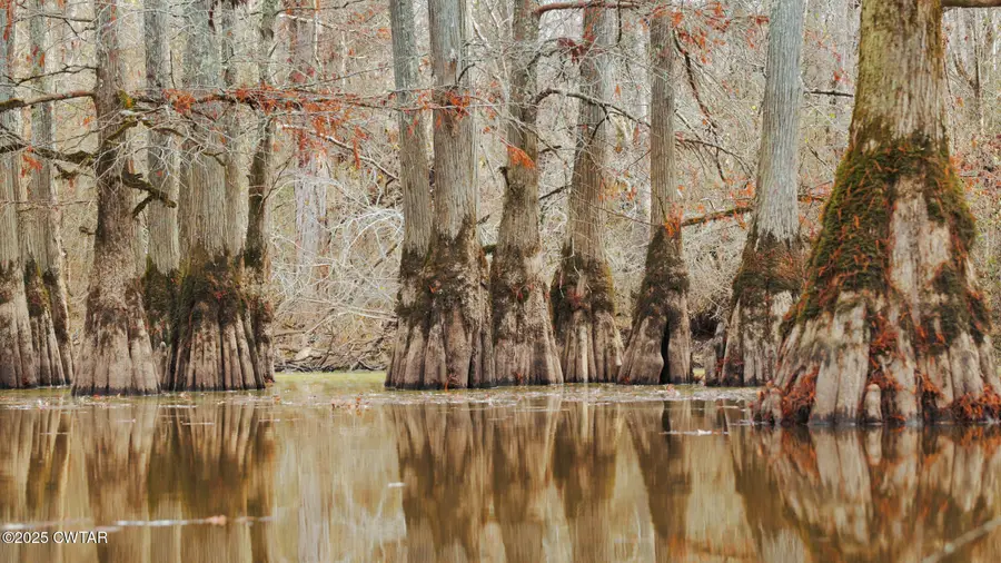 0 Tn-18, Bolivar, TN 38008 - #2