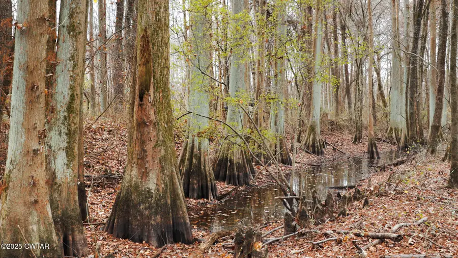 0 Tn-18, Bolivar, TN 38008 - #3