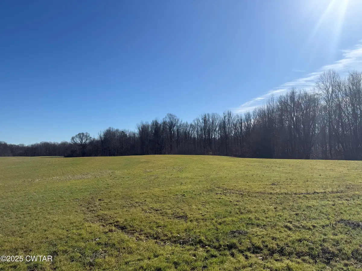 00 Arp Central Road, Ripley, TN 38063 - Image #1