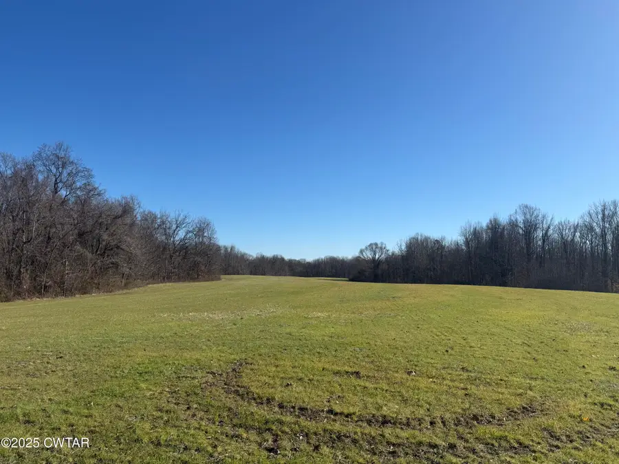 00 Arp Central Road, Ripley, TN 38063 - Image #3