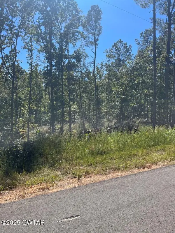 Lot 24 Beach Bluff Lane, Huntingdon, TN 38344