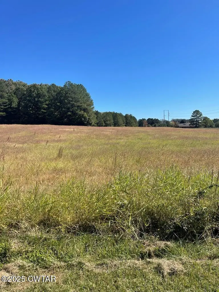 Lot 1 R B Wilson Dr, Huntingdon, TN 38344 - Image #3