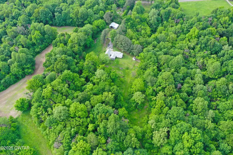 4815 Webb Store Road, Hornbeak, TN 38232 - Image #2